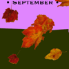 seasons