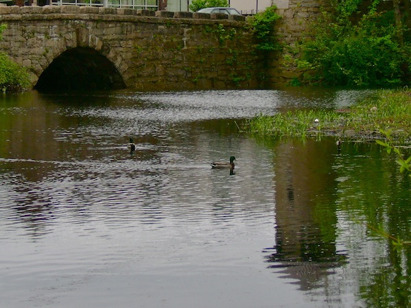 Milford Memorial tower with ducks